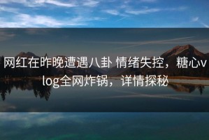 网红在昨晚遭遇八卦 情绪失控，糖心vlog全网炸锅，详情探秘
