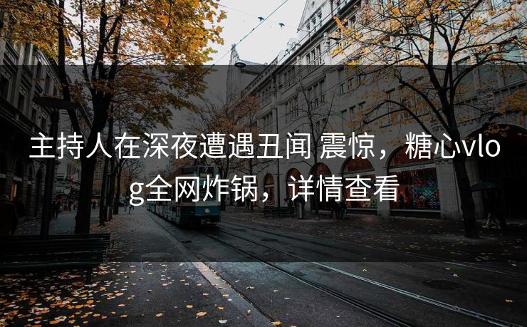 主持人在深夜遭遇丑闻 震惊，糖心vlog全网炸锅，详情查看